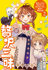 贅沢三昧したいのです！　転生したのに貧乏なんて許せないので、魔法で領地改革　原作ノベル2巻