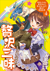 贅沢三昧したいのです！　転生したのに貧乏なんて許せないので、魔法で領地改革　原作ノベル4巻