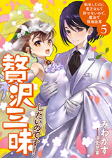 贅沢三昧したいのです！　転生したのに貧乏なんて許せないので、魔法で領地改革　原作ノベル5巻